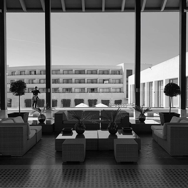 Oltre la siepe ~ Foto © Antonio Dini