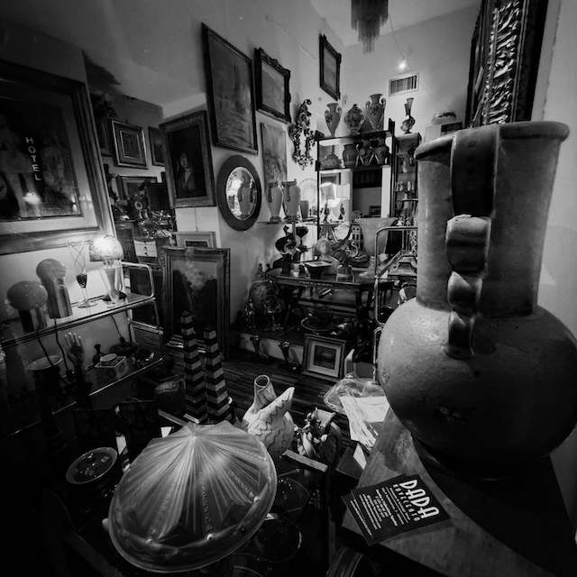 Il gabinetto delle meraviglie