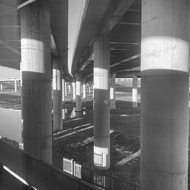 Non ne usciremo mai – Foto © Antonio Dini