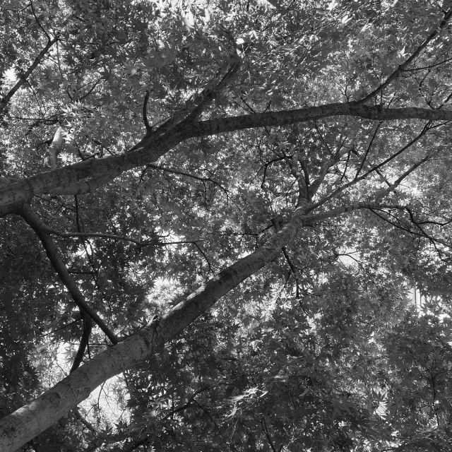 ...sed peiora parantur ~ Foto © Antonio Dini